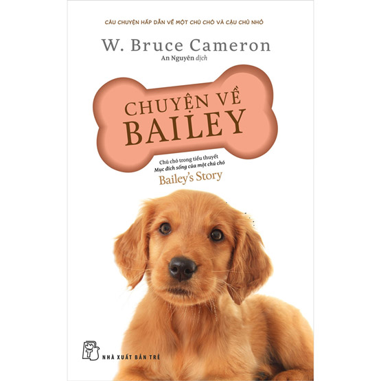 Chuyện về Bailey – Chú chó trong tiểu thuyết mục đích sống của một chú chó