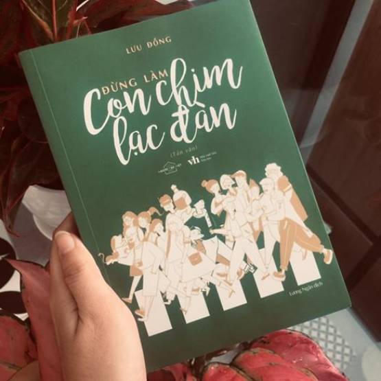 Review sách Đừng làm con chim lạc đàn