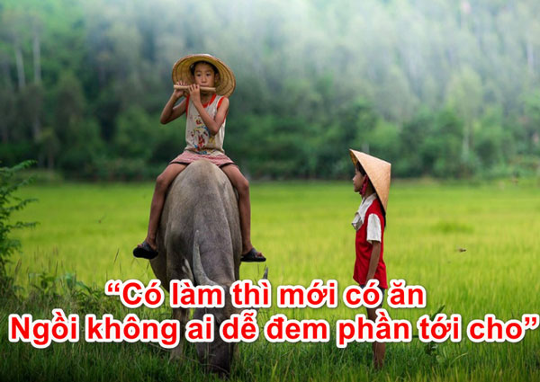 Sau này, chỉ có làm, chịu khó, cần cù thì bù siêng năng, chỉ có làm thì mới có ăn