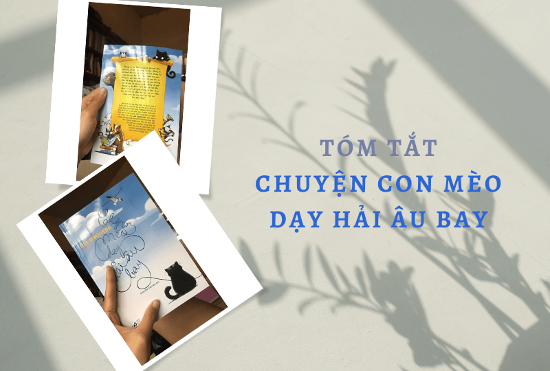 Tóm tắt “Chuyện con mèo dạy hải âu bay” – Sách hay mọi lứa tuổi